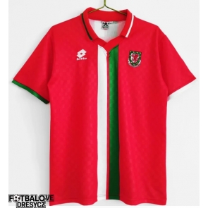 Wales 1996-1998 Retro Venkovní Dres Krátký Rukáv Wales 1996-1998 Retro Venkovní Dres Krátký Rukáv
